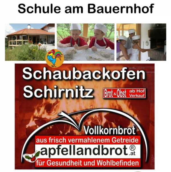 PDF WEBSEITE