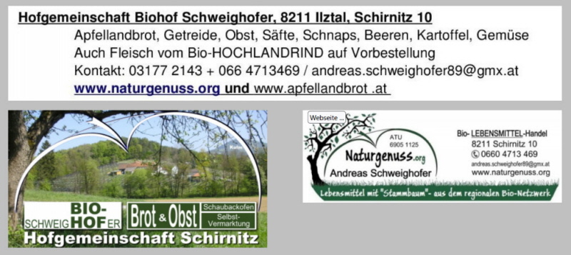 Zur Webseite